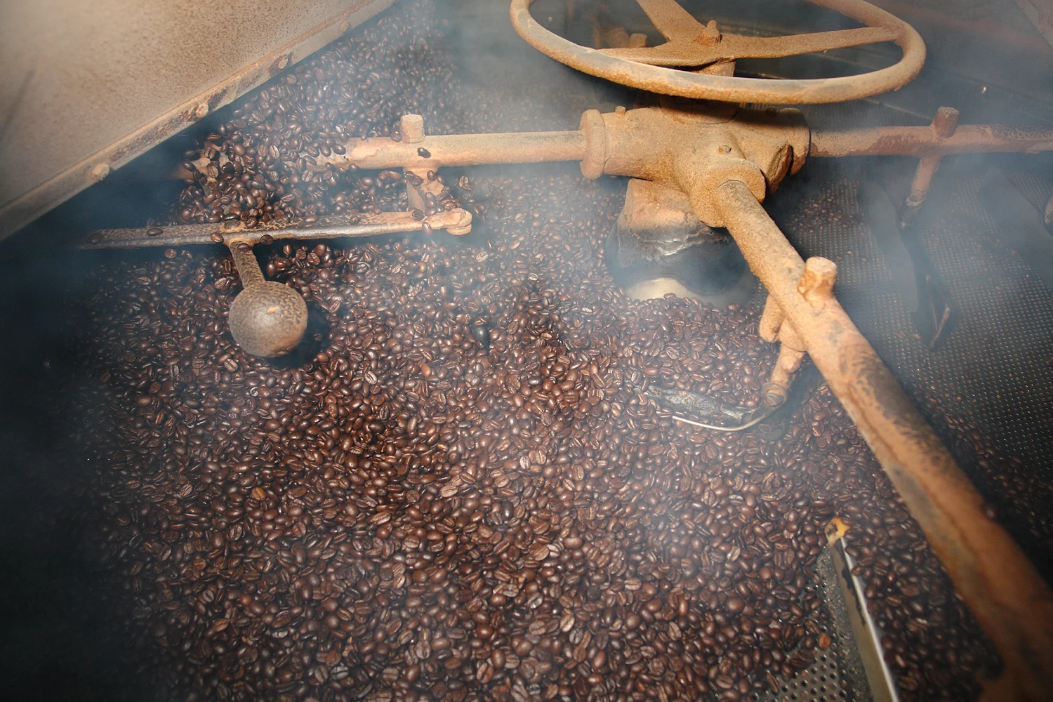 Frisch gerösteter Kaffee fällt in eine Kühlschale einer Rösterei